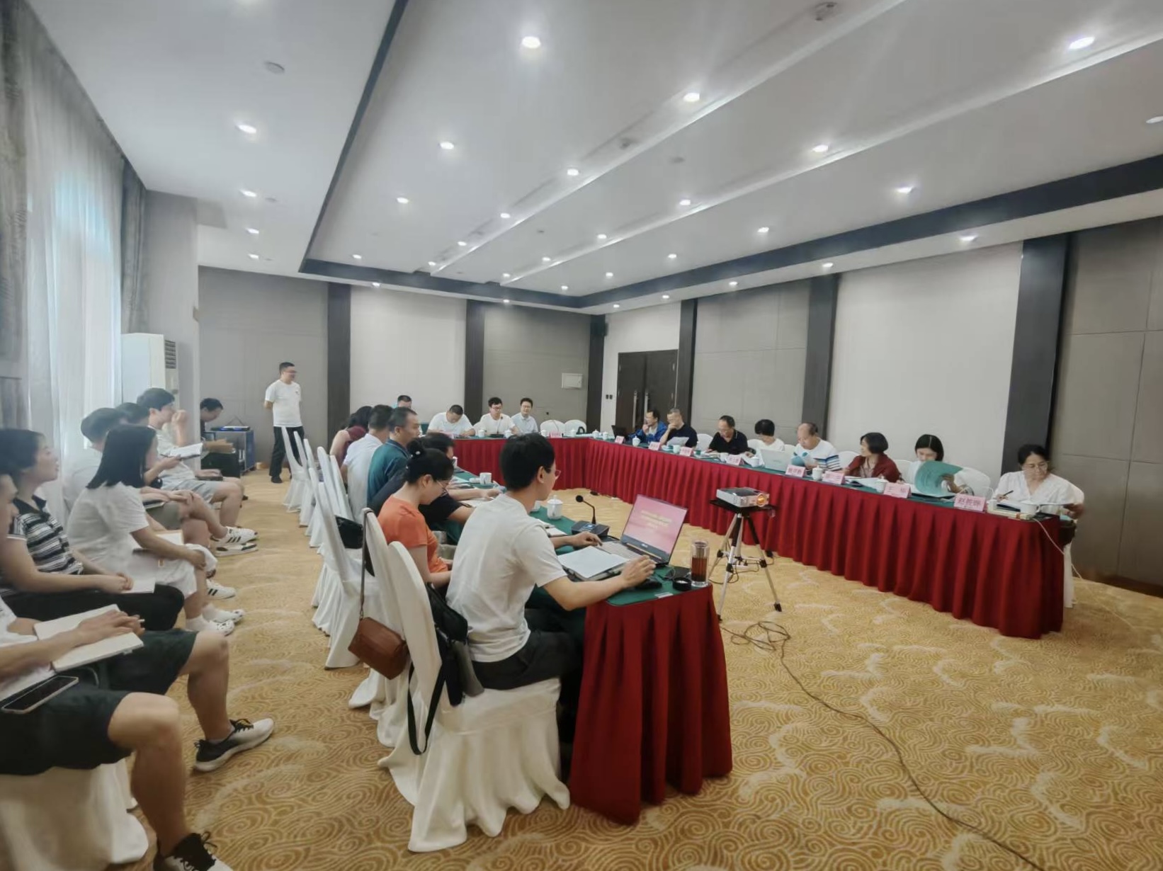谭家咀水闸及引调水工程项目建议书审查